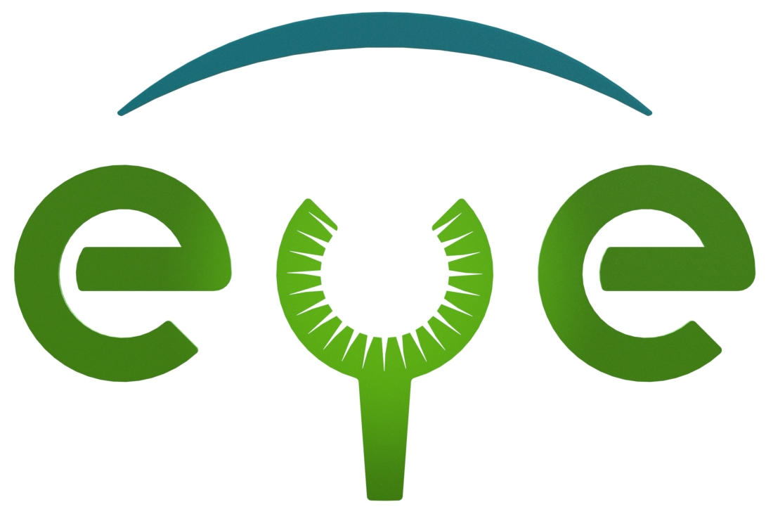 Energia y Eficiencia